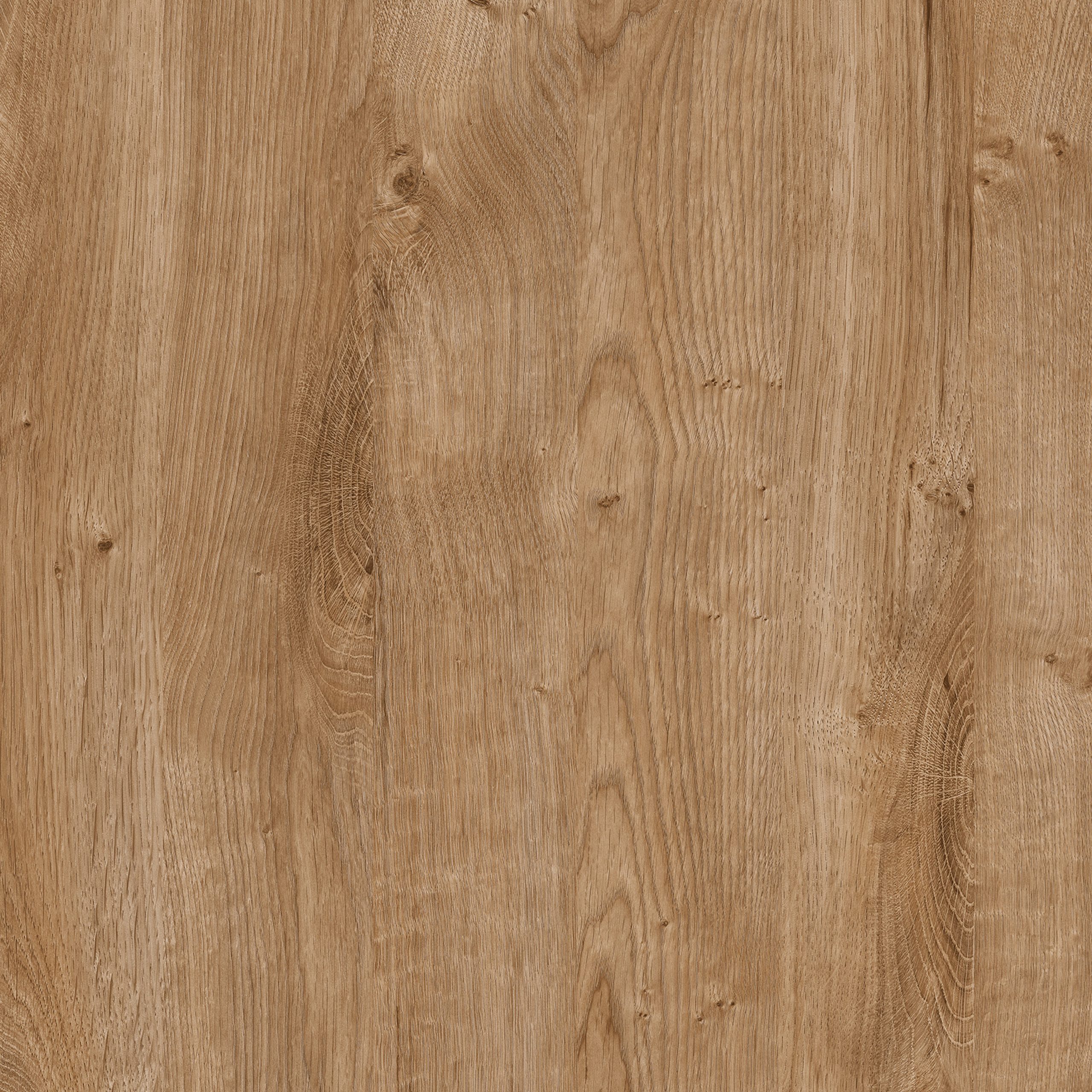 Fribo 1 Door 1 Drawer Twin Pedestal Desk in Oak - Image 3