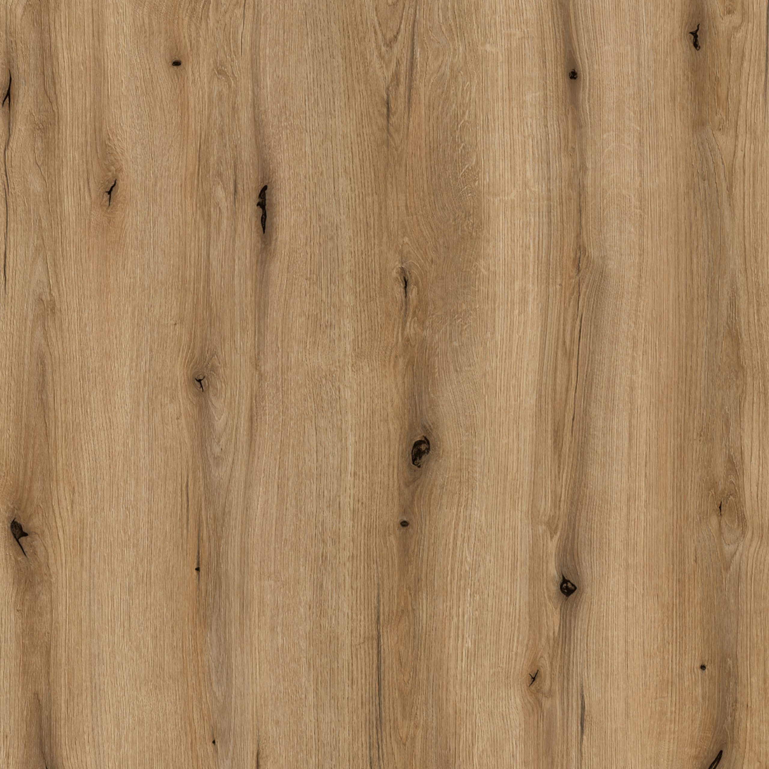 Celesto 2 Door Cabinet in White and Oak - Image 3